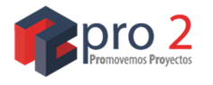 Logo Pro2